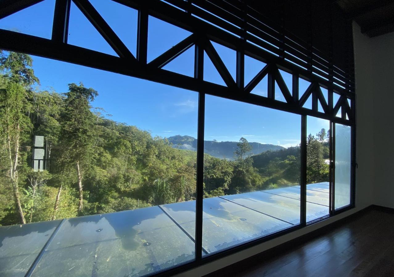 Arte De Plumas Birding Lodge Cartago Eksteriør billede