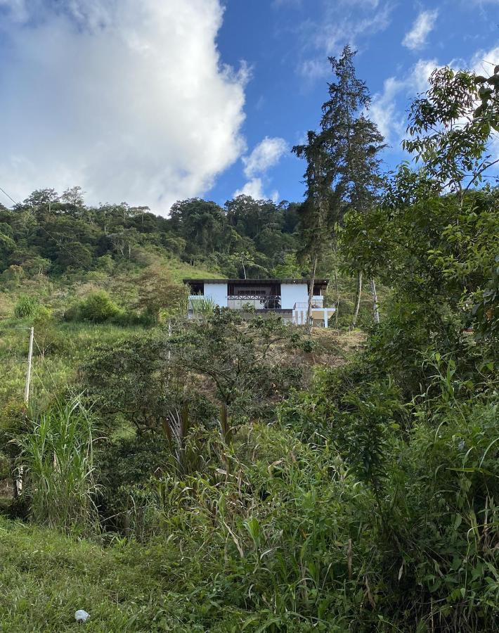 Arte De Plumas Birding Lodge Cartago Eksteriør billede