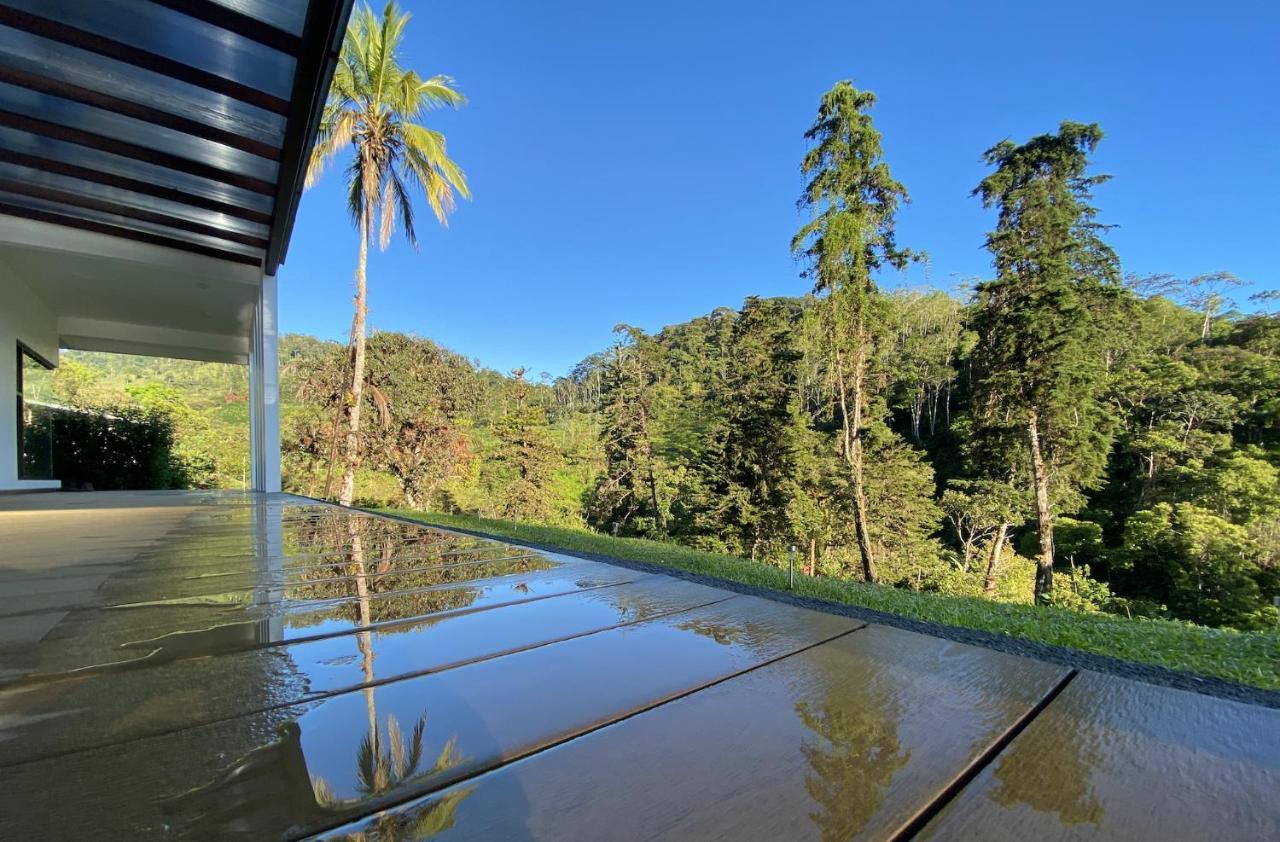 Arte De Plumas Birding Lodge Cartago Eksteriør billede