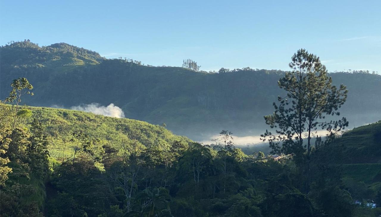 Arte De Plumas Birding Lodge Cartago Eksteriør billede