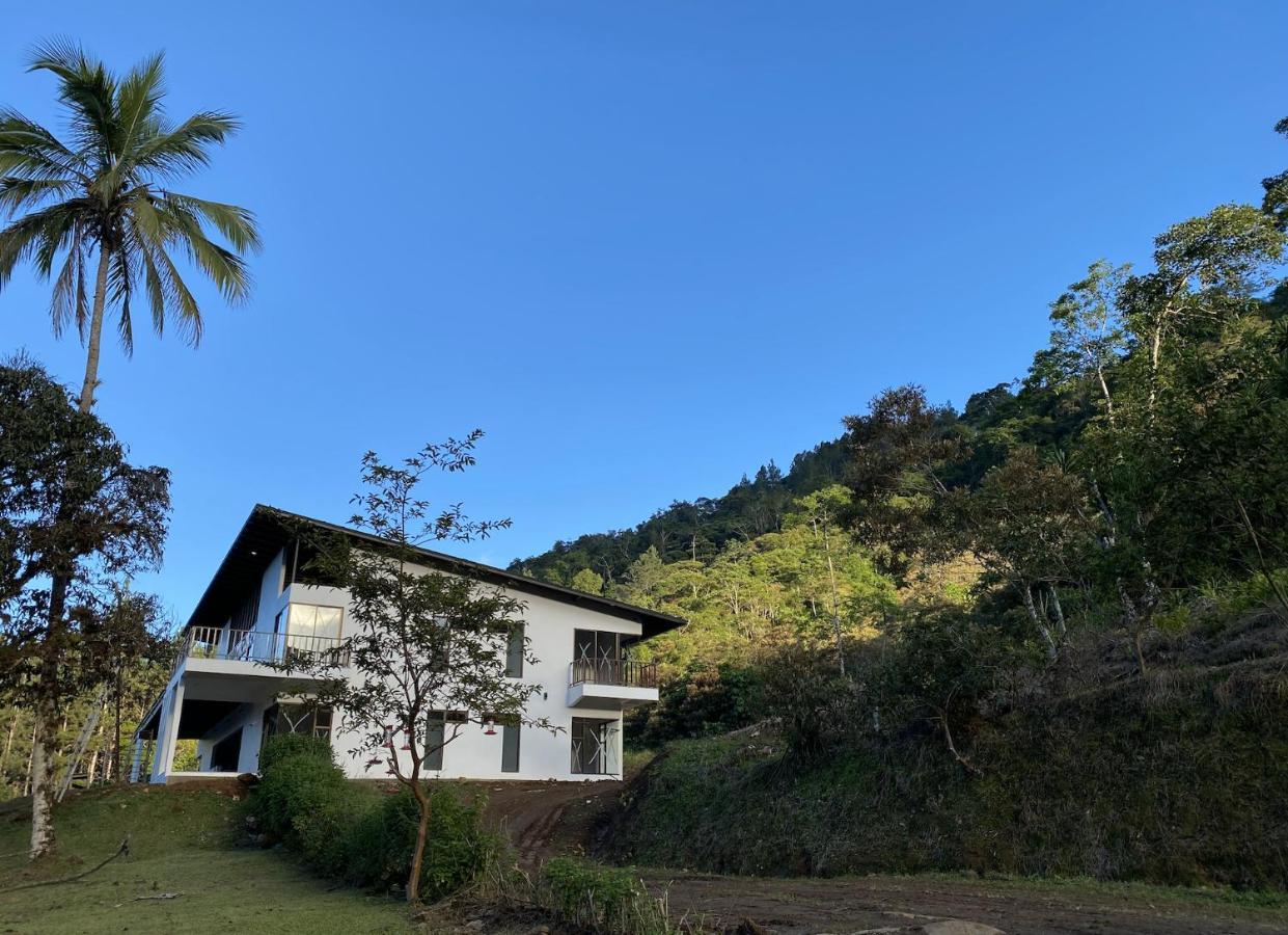 Arte De Plumas Birding Lodge Cartago Eksteriør billede