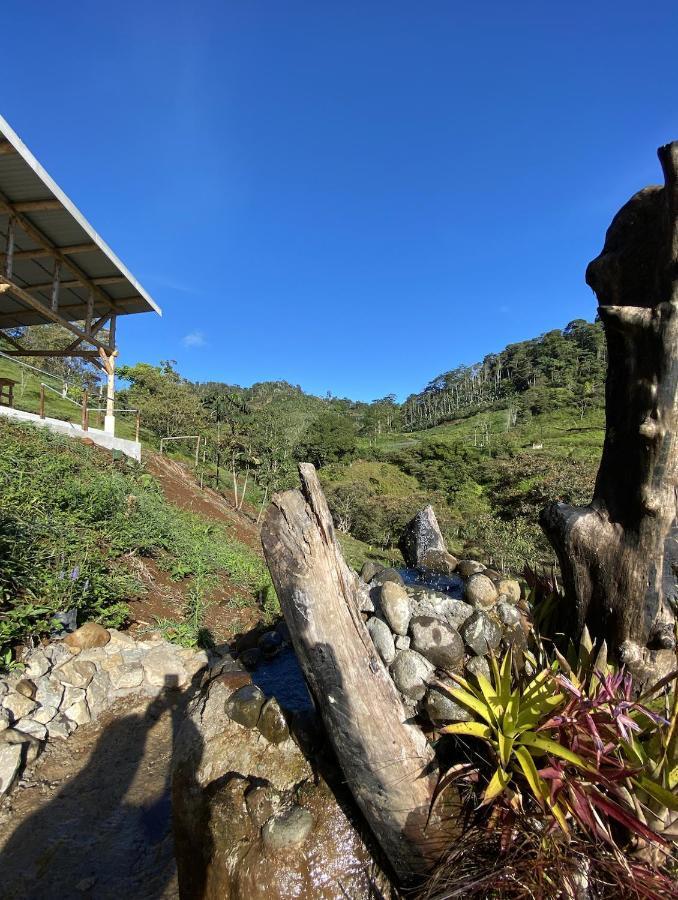 Arte De Plumas Birding Lodge Cartago Eksteriør billede