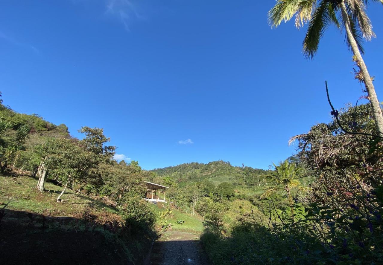 Arte De Plumas Birding Lodge Cartago Eksteriør billede