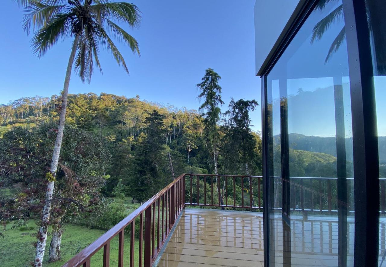 Arte De Plumas Birding Lodge Cartago Eksteriør billede