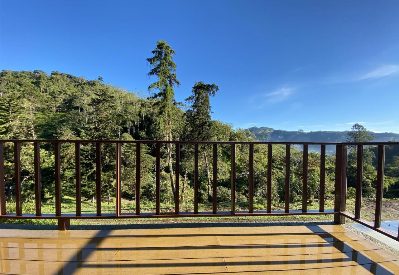 Arte De Plumas Birding Lodge Cartago Eksteriør billede