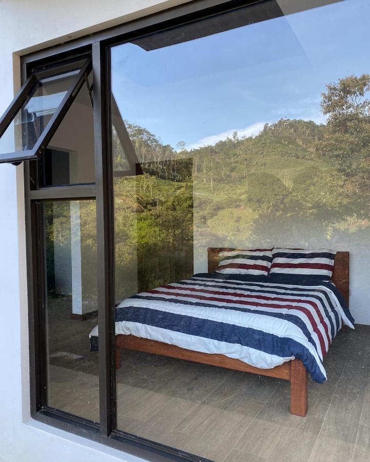 Arte De Plumas Birding Lodge Cartago Eksteriør billede